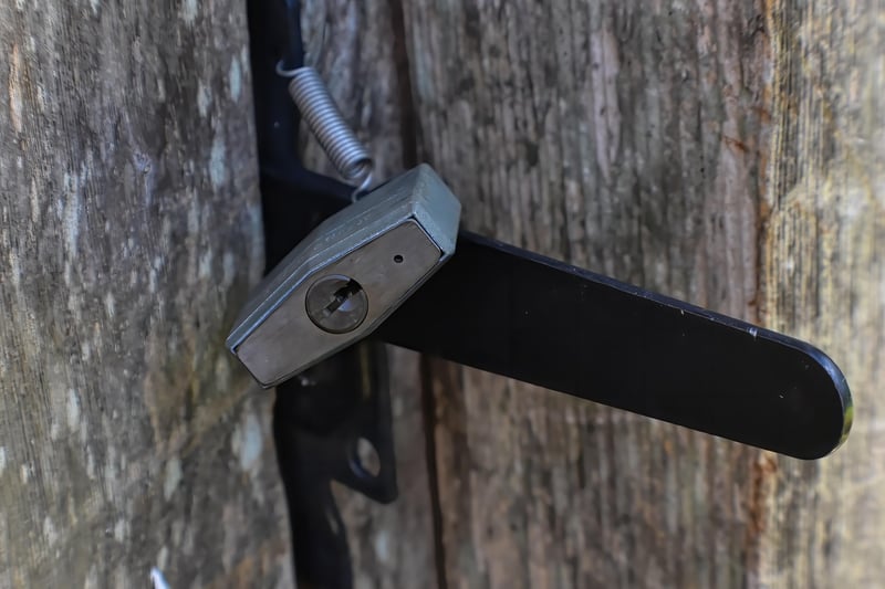 Security Padlock